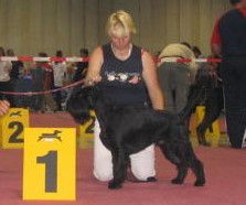 Lux Champion 2005.1.jpg